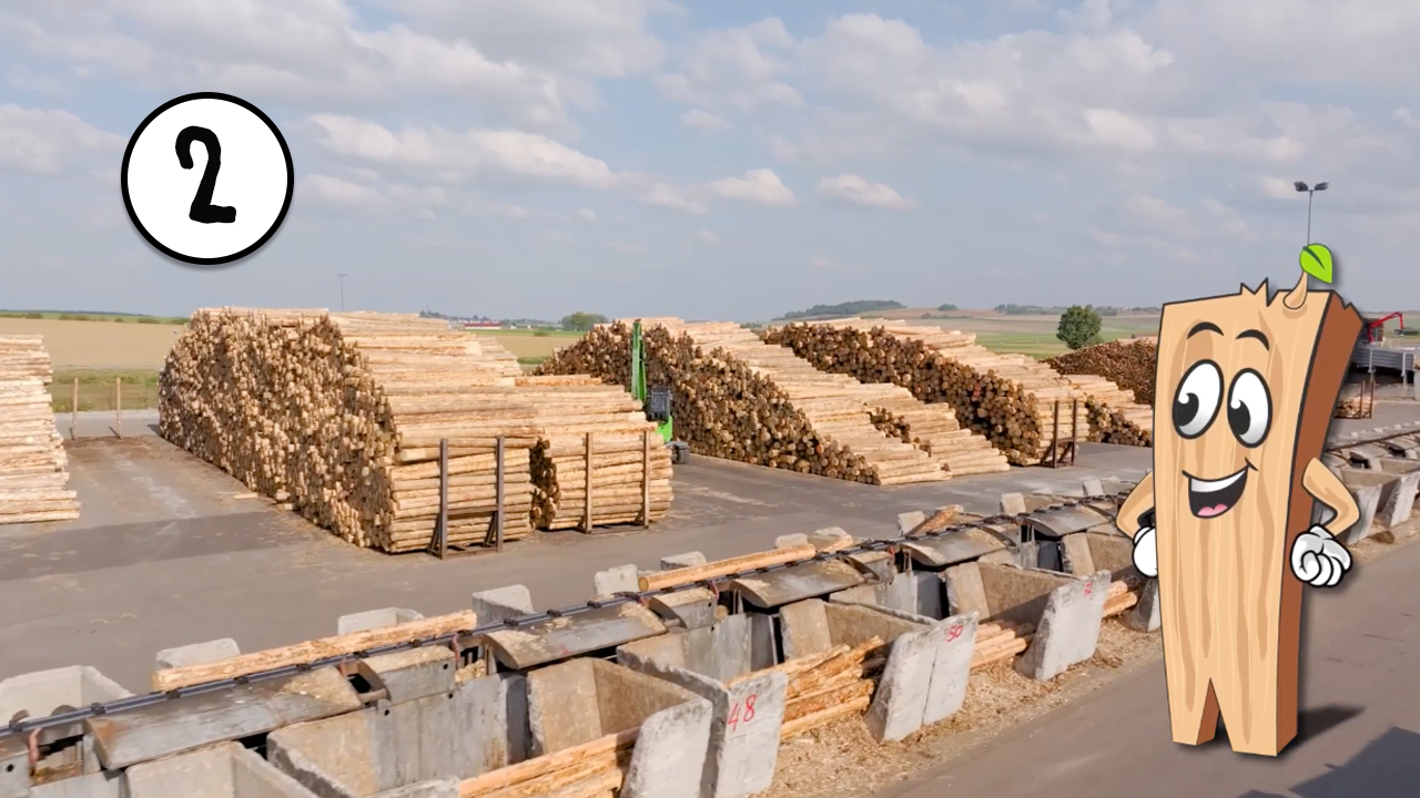 Clip 02 Saegwerk